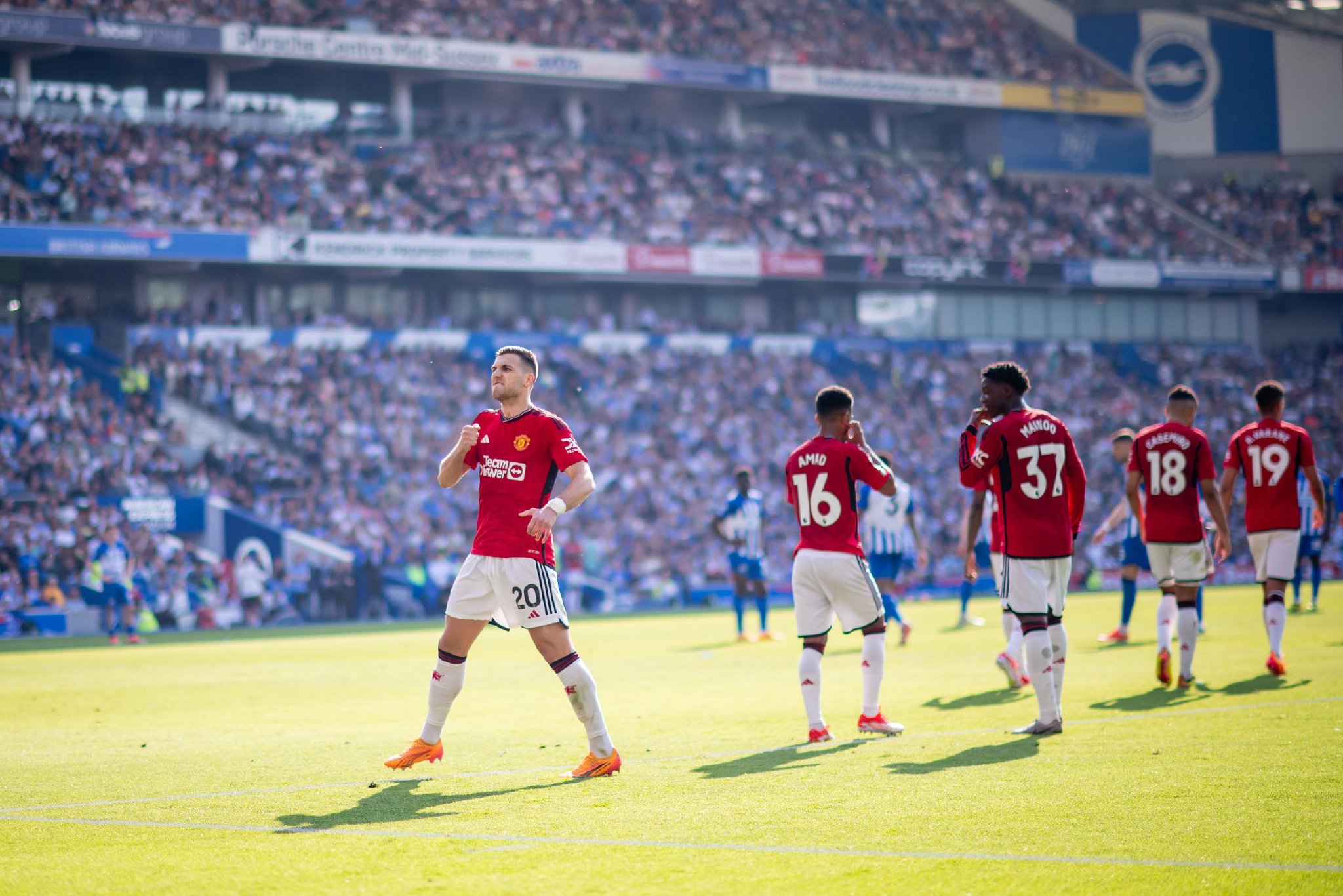 的球员管理 的球员管理